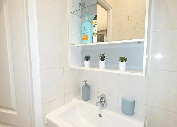 公寓 Le Duploye 格勒诺布尔